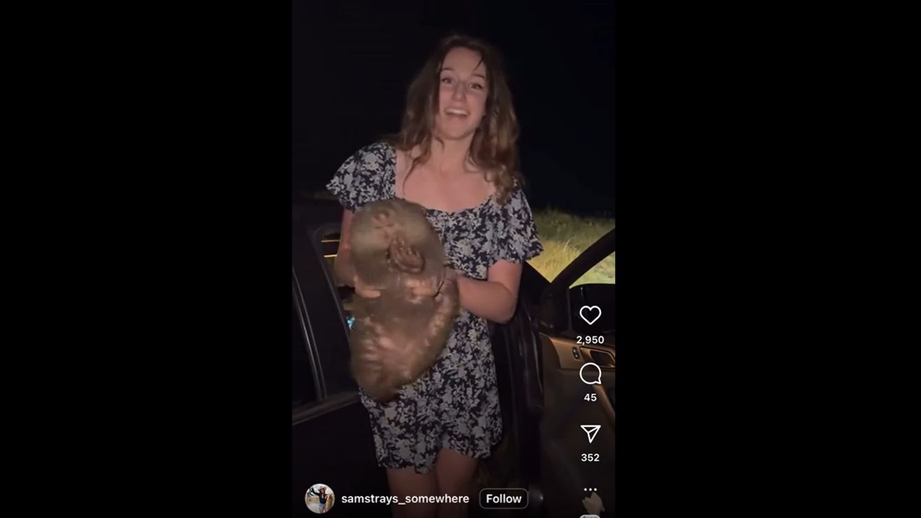 Influencerul american care a răpit un pui de wombat a părăsit Australia