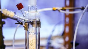 De ce experimentele îi ajută pe copii să învețe. Laura Băjenaru, profesor de științe și examinator Cambridge: Experimentele sunt esențiale pentru că toate științele sunt vizuale, iar elevii au o inteligența vizual-spațială pe care noi o ignorăm