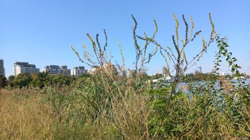 Concursuri internaţionale de soluţii pentru amenajarea malurilor lacurilor si a unor spaţii publice din sectorul 2