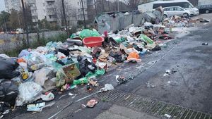 Primăria Arad cheltuie milioane de lei pentru curăţarea terenurilor pe care sunt abandonate gunoaie