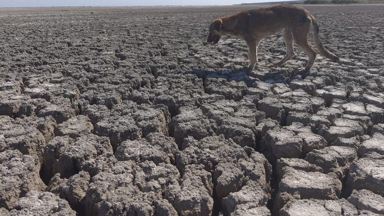 VIDEO Fenomen extrem cauzat de secetă: Un lac de 851 de hectare din Constanța a secat în totalitate pentru prima dată de când există
