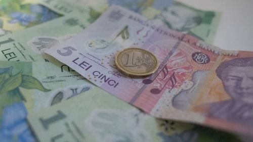 Indemnizaţia de hrană nu intră în baza de calcul a indemnizaţiei de concediu de odihnă pentru personalul bugetar, a decis Înalta Curte de Casație și Justiție