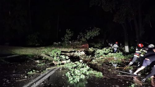 FOTO Zeci de copaci doborâți de vânt, un TIR răsturnat și mai multe acoperișuri avariate după codul roșu de vreme rea din Teleorman