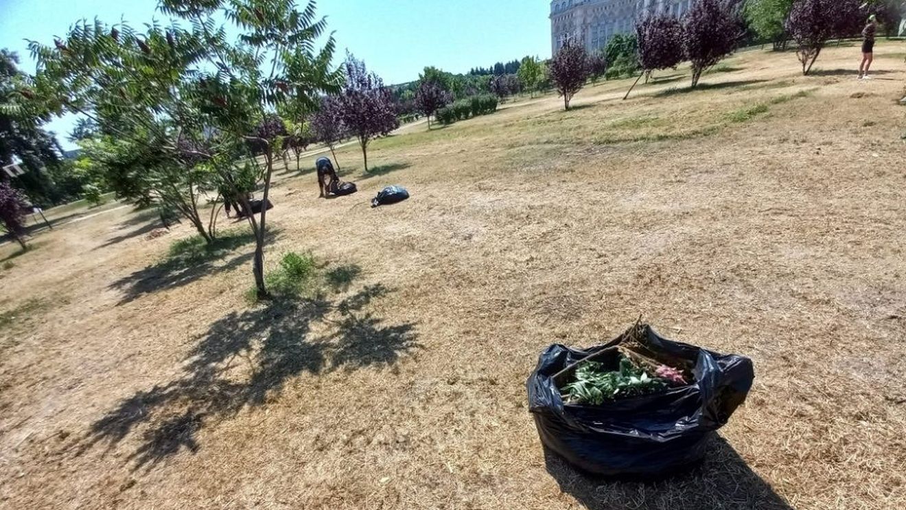 Nicuşor Dan: Parcul Izvor nu va fi închis, distrus sau desfiinţat, ci este vorba despre o propunere de valorificare a parcului din partea unei companii private