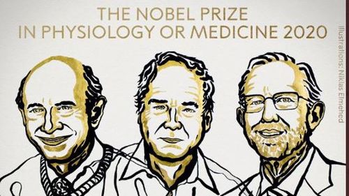 Premiul Nobel pentru Medicină, acordat celor trei cercetători care au descoperit virusul hepatitei C