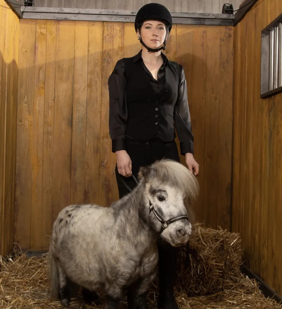 pets, cai, ponei, guinness world record 