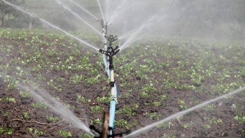 Parchetul European: Trei persoane acuzate de fraudă în valoare de 1,2 milioane de euro în legătură cu sisteme de irigații în județul Vâlcea / Suspecții ar fi folosit acte false și au utilizat banii în scop personal 