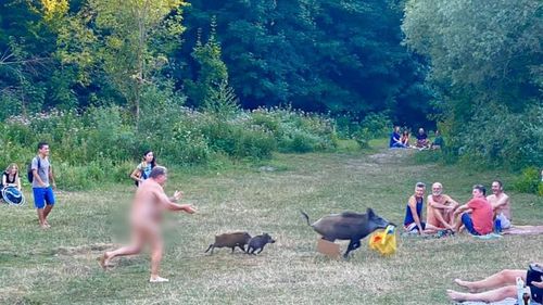 Un nudist din Berlin a fugărit un mistreț, după ce animalul i-a luat laptopul/ Pe timpul verii, unii germani renunță la haine în parcuri practicând Freikörperkultur - "cultura trupului liber"
