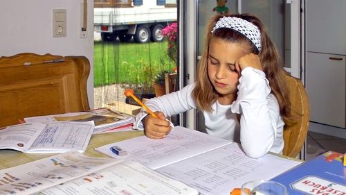 Legalizarea Homeschooling-ului în România, „pentru situații de excepție”, este propusă de ministrul Educației, Daniel David, care anunță pașii de implementare / Constituția prevede că învățământul se desfășoară „în unități de stat, particulare și confesionale”