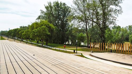 Spaţiul de joacă din zona de promenadă de pe malul Someşului din Satu Mare, vandalizat de trei turişti norvegieni / Aceştia au fost sancţionaţi, iar prejudiciul va fi recuperat