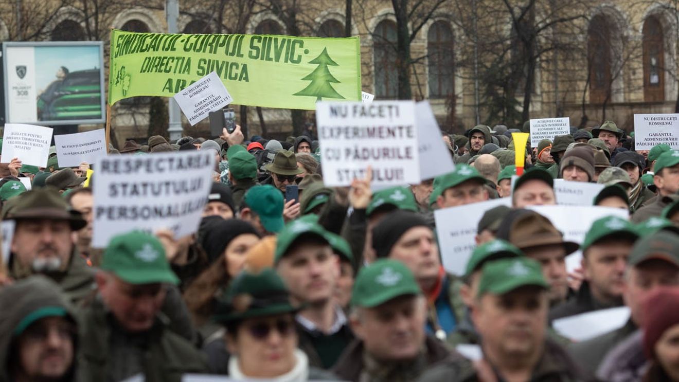 Ministrul Mediului, după protestul silvicultorilor: Merg înainte. Rămân de neclintit în privinţa reorganizării Romsilva, eliminării suprabeneficiilor care gripează bugetul şi deschid calea abuzurilor