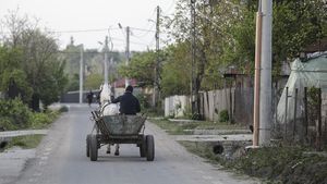Primarul din comuna doljeană Mischii le cere cetăţenilor să salveze comuna de la desfiinţare prin schimbarea domiciliului, în contextul reformei din administraţie anunţată de premierul Ilie Bolojan, care pune accent pe numărul de locuitori