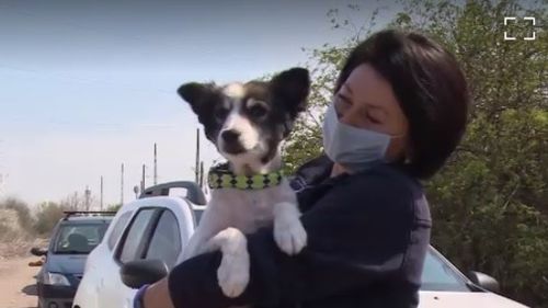 Un cățel rămas singur o lună într-o gospodărie din Vaslui, salvat de voluntari