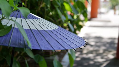 Japonia a înregistrat cea mai fierbinte vară în anul 2023, în timp ce Australia a raportat cea mai călduroasă iarnă