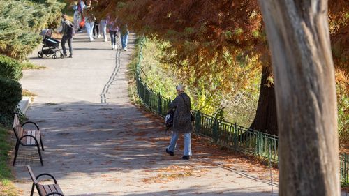 METEO Vreme caldă și ploi în următoarele două săptămâni din septembrie