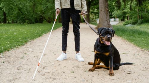 Nevăzător ținut la ușa magazinului din cauza câinelui ghid: „Nu e voie, fără mișto. Legați-l afară de ceva” / O lege promulgată săptămâna trecută stabilește că câinele-ghid pentru persoanele cu handicap grav are acces liber în spaţiile publice