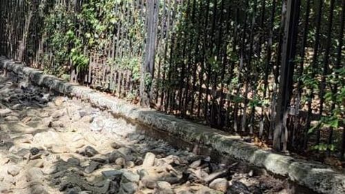 Primarul Sectorului 1 o acuză pe Clotilde Armand că a angajat plăți nelegale de 140 de milioane de lei pentru reparația străzilor