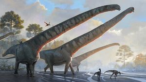 Cel mai lung dinozaur cunoscut vreodată avea un gât de peste 15 metri lungime și trăia în urmă cu 162 de milioane de ani în zona unde astăzi se află China - studiu
