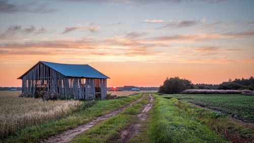 Val de căldură record în Finlanda / Mai mulţi reni au murit / „Nu sunt capabili să îşi regleze temperatura corpului”