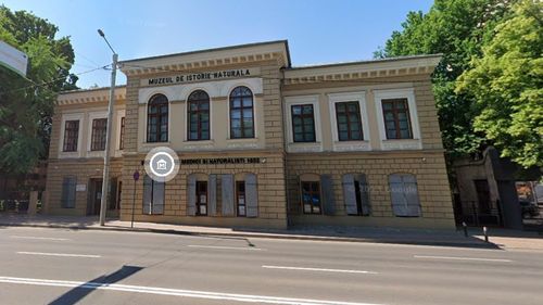 Muzeul de Istorie Naturală din Iași, mai aproape de deschidere: După restaurarea clădirii, a fost lansată licitația pentru dotările interioare