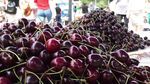 Cum să culegi foarte ușor cireșele cu ajutorul unei sticle de plastic/ Un truc simplu dezvăluit de un agricultor
