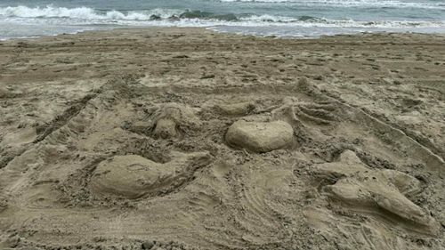 Australia închide zeci de plaje de pe coasta estică după mai multe atacuri ale rechinilor