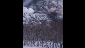 Rusia: Erupția vulcanului Șiveluci a aruncat un imens nor de cenușă peste peninsula Kamceatka