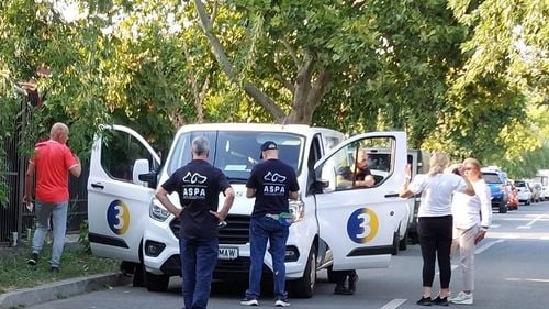 Controale în Sectorul 1: Zeci de proprietari de câini fără microcip sau nesterilizați riscă amenzi de mii de lei (FOTO)