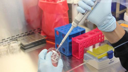 STUDIU Fertilizarea in vitro: poluarea reduce șansele de naștere cu 40% / Microparticulele pot intra în sânge și ajung la placentă și ovare