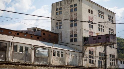 Deputata USR, Diana Buzoianu: Directorul Salrom trebuie să-şi prezinte demisia. Sunt inacceptabile inacţiunea şi lipsa totală de asumare