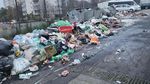 Primăria Arad cheltuie milioane de lei pentru curăţarea terenurilor pe care sunt abandonate gunoaie