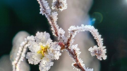 METEO Răcire accentuată a vremii, în toată ţara, până joi dimineaţa. Temperaturile vor scădea până la minus 10 grade
