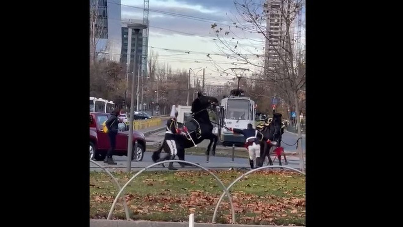 Viralul zilei: Un jandarm a căzut de pe cal de 1 Decembrie