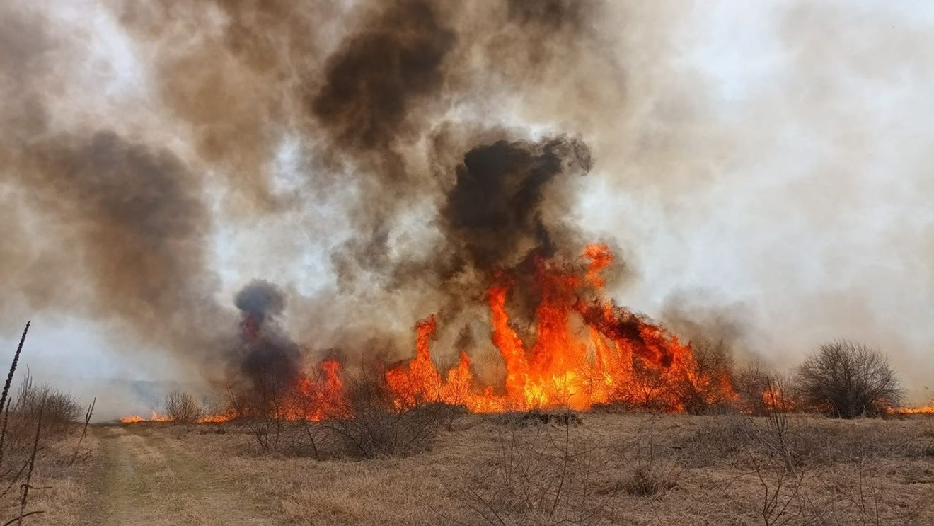 Protocol între Administraţia Deltei şi Agenţia Spaţială Europeană pentru prevenirea incendiilor din rezervaţie