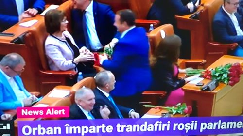 Momentul zilei în Parlament: Ludovic Orban a împărțit trandafiri roșii tuturor liberalilor în semn de protest față de coaliția cu PSD / A întrerupt discursul lui Marcel Ciolacu
