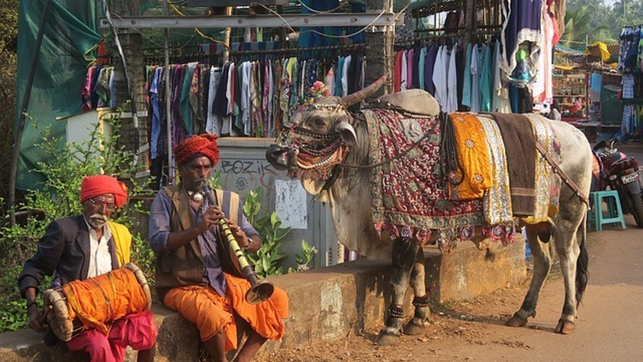 Val de căldură în India: Temperaturile au depăşit 49 grade Celsius în unele zone din New Delhi