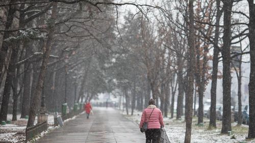 De luni, vremea va fi deosebit de rece în toată ţara / Cod galben de ninsori în 26 de județe din țară