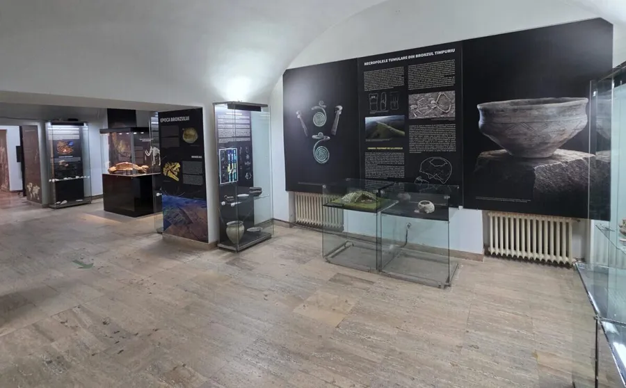 craniul in expozitie