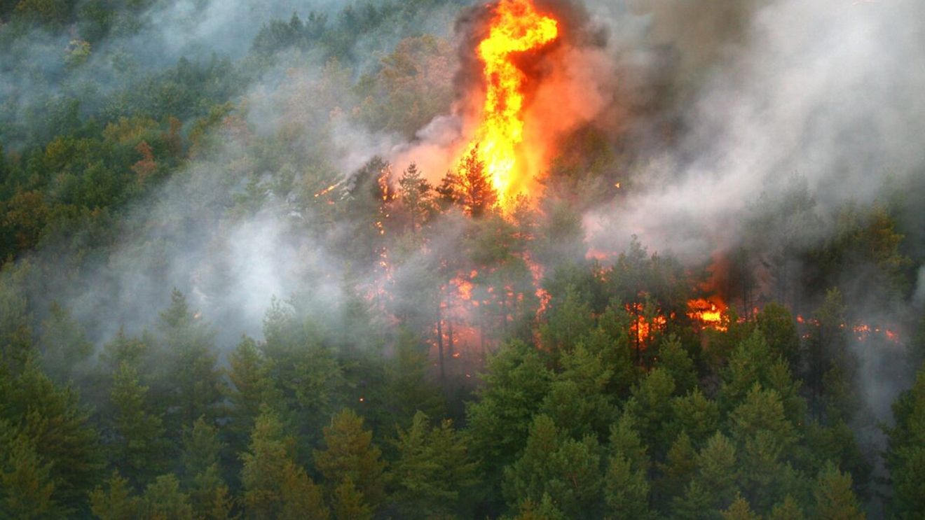Peste un milion de hectare de păduri, cuprinse de incendii în Rusia