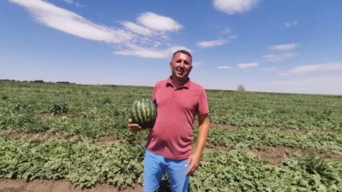 VIDEO | Lubenița de Gottlob revine pe tarabe: Gust dulce, provocări amare pentru fermieri/ „Vara aceasta ne ajută. Avem 37-38 de grade și lubenițele sunt dulci. Seceta, paradoxal, le prinde bine”