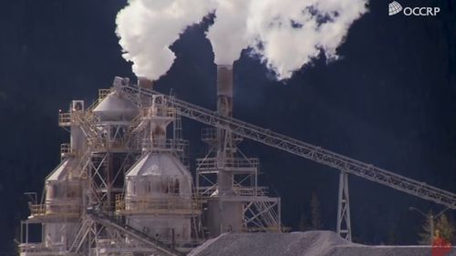 Lista celor 118 firme din București și Ilfov despre care Ministerul Mediului susține care dețin instalații autorizate de ardere a deșeurilor. Mai multe companii resping afirmațiile ministerului