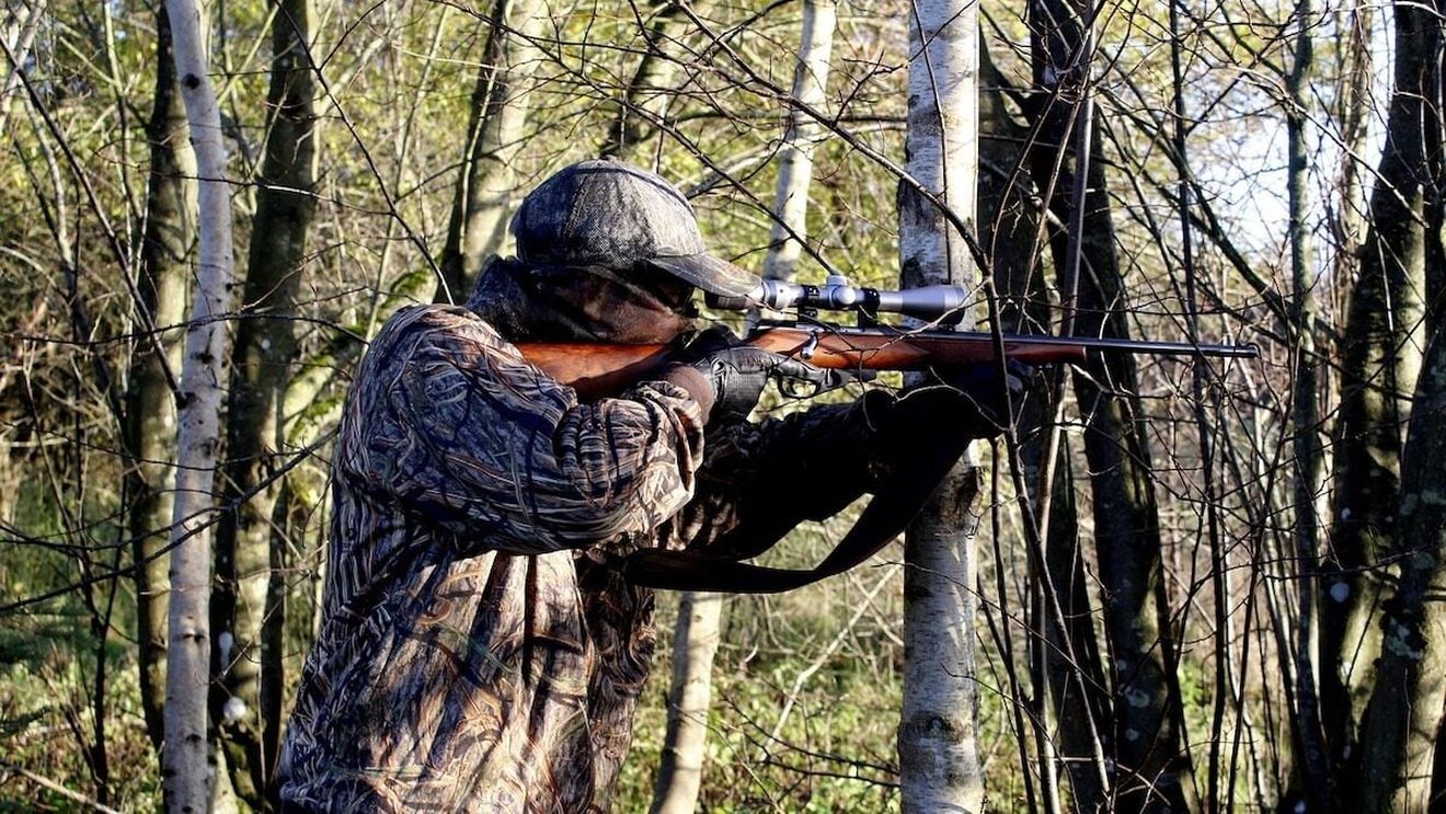 50.000 de italieni vânează specii protejate fără control, din Balcani până în România. Afaceri deschise de italieni în Carpați