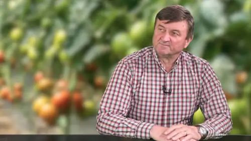 Criza carburanților scumpește verdețurile din piețe și supermerketuri / Legumicultor: „Înainte vindeam cu 2.2 lei legătura. Azi 3 lei este oferta noastră”