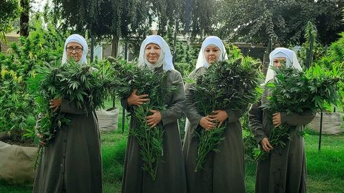 Reportaj Reuters: "Călugărițele" mexicane ale canabisului vor să ia planta înapoi de la traficanții de droguri