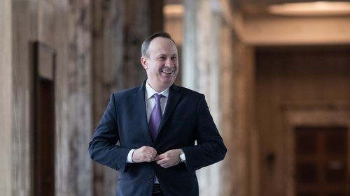 Ministrul Finanțelor, invitat marți în Parlament la "Ora Guvernului", pentru a explica situația încasărilor de la buget