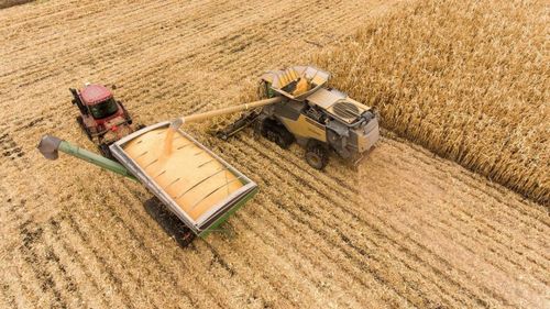 Analiză: Cum răspunde Europa la criza alimentară mondială