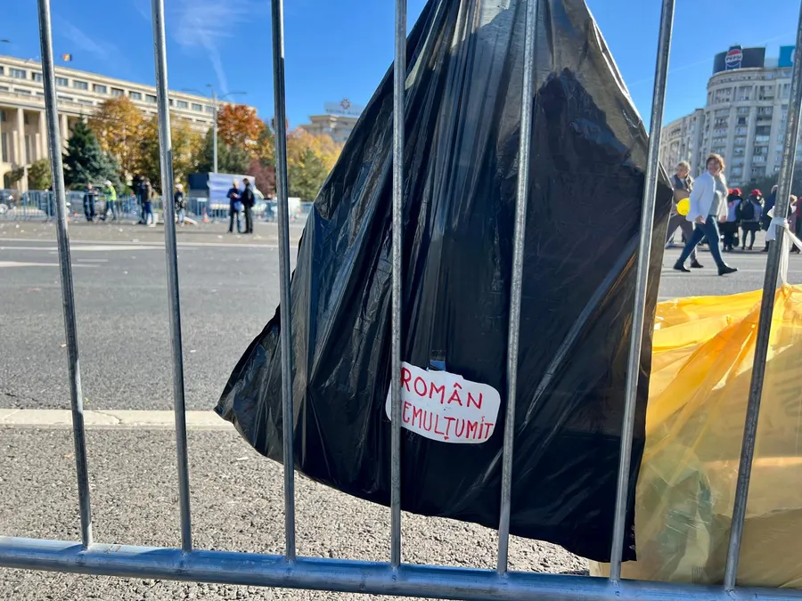 protest Piața Victoriei