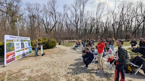 EXCLUSIV Pădurea Băneasa ar putea deveni arie naturală protejată - Parcul Natural Pădurea Băneasa . Studiul depus la Academia Română invocă biodiversitatea, rolul social și riscul de degradare | 49 de specii protejate identificate în studiu