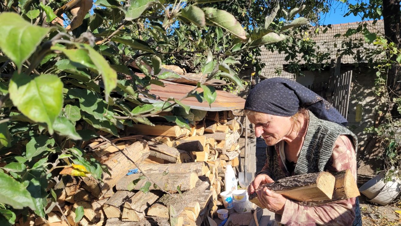 Investigație WWF: Piața lemnului de foc s-a blocat, ilegalitățile au explodat, oamenii simpli plătesc prețul / ”Am lemn dar nu-l pot vinde, că nu am cum. L-am cumpărat cu 650 din zona Sibiului și mă obligă să-l vând cu 400. Așa că eu și alți prieteni am luat o pauză”