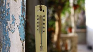 Minus 11,6 grade Celsius la Miercurea-Ciuc - recordul zilei de temperatură minimă